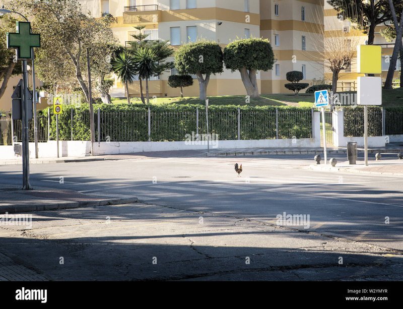 Chicken road españa in Spain