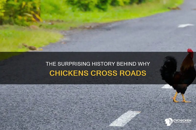 Learn about chicken road online